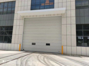 Porta di garage a sezione isolata per l'immagazzinamento a freddo opzioni di controllo remoto